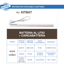 Motoriduttore 20NM completo di centralina e radiocomando + Batteria al litio ricaricabile